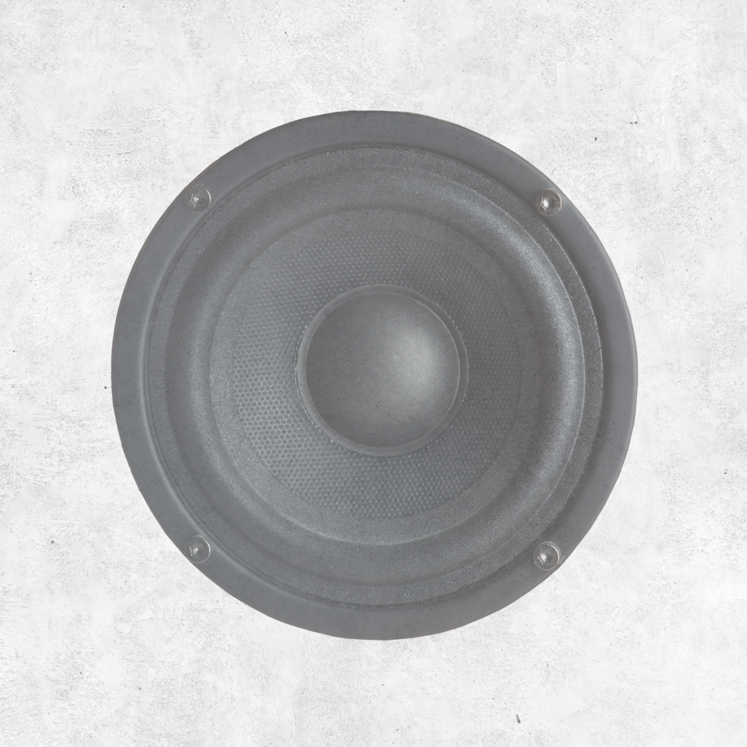 Image of a speaker